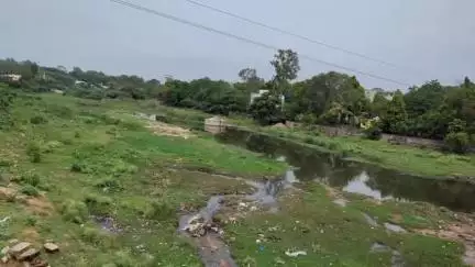 ગોધરા: શહેરના મધ્યમાંથી પસાર થતી મેસરી નદીને રજૂઆતો બાદ સાફ કર્યાના થોડા સમય બાદ જૈસે થે વૈસે હાલતમાં છોડી દેવાઈ#jansamasya