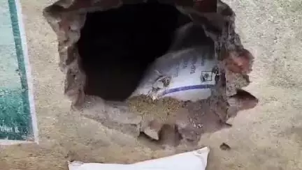 बड़वानी: सिलावद में अनाज व्यापारी के गोदाम की दीवार में सेंध लगाकर बदमाशों ने चोरी की