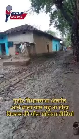 गुनौर विधानसभा अंतर्गत ग्राम पंचायत महुआ खेड़ा का हाल