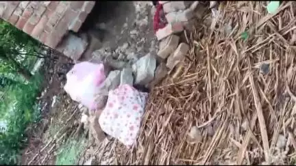 हरदोई: टड़ियावां थाना क्षेत्र के सरदापुर गांव में दीवार में सेंध काटकर चोरों ने नगदी व जेवरात की चोरी की