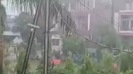 करेली: नरसिंहपुर में सुबह 5 बजे से तेज बारिश जारी, अधिकतम तापमान 25 डिग्री पहुंचा, किसानों ने खेत किए तैयार