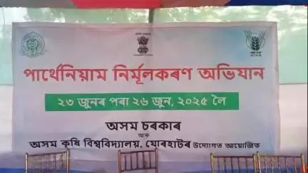 নগাঁও: উৰিয়াগাঁৱত বিষাক্ত পার্থেনিয়াম নিৰ্মূলকৰণ অভিযান আৰম্ভ কৰে আয়ুক্ত দেৱাশীষ শর্মাই