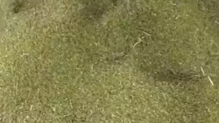 तेंदूखेड़ा: पब्लिक एप की खबर का बड़ा असर: तेंदूखेड़ा नगर में कृषि उपज मंडी हुई शुरू, किसानों को मिलेगा लाभ