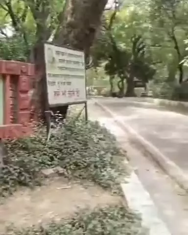 कानपुर: कानपुर चिड़ियाघर 42 दिनों से बंद, बर्ड फ्लू की तीसरी रिपोर्ट का इंतजार, नेगेटिव रिपोर्ट आने पर खोले जाने का होगा फैसला