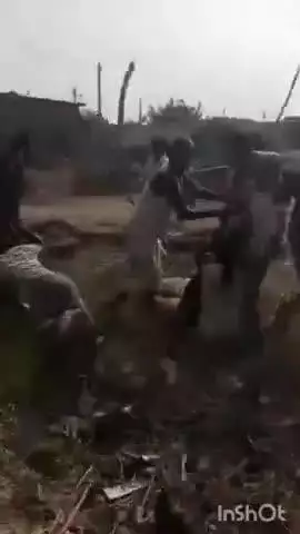 निघासन: पठानन पुरवा गांव में दबंगों ने घर में घुसकर लाठी-डंडे से जमकर की मारपीट, घटना का वीडियो हुआ वायरल