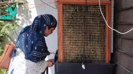 भीलवाड़ा: मौसमी बीमारियों से निपटने के लिए भीलवाड़ा चिकित्सा संस्थान को अलर्ट मोड़ पर रखा गया, सीएमएचओ ने जारी किए आदेश