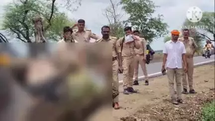 कौंच: ग्राम सलैया बुजुर्ग में बिजली विभाग की लापरवाही से 3 मवेशियों की हुई मौत, खेत में झुकी HT लाइन के कारण हुआ हादसा