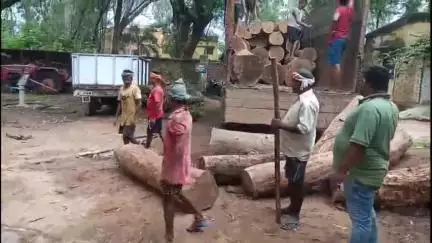 बांसजोर: बांसजोर चेक नाका पर वन विभाग की टीम ने लकड़ी से लदा ट्रक पकड़ा, मामला दर्ज
