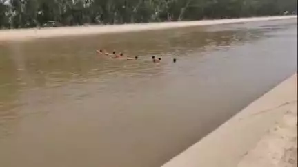हनुमानगढ़: टाउन में लखूवाली के पास इंदिरा गांधी नहर में एक युवक ने लगाई छलांग, तलाश में जुटे गोताखोर