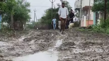 बीना: साईं धाम कॉलोनी में पक्की सड़क का नहीं कराया गया निर्माण, बारिश के मौसम में कीचड़ से परेशान हुए लोग #jansamasya