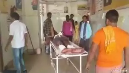देवघर: पहाड़पुर में 2 ट्रकों की टक्कर से चालक और खलासी घायल, सदर अस्पताल में इलाज जारी