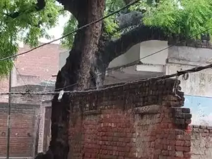 #sasanka1234  Sasaram me 34 volt ka wayar me se dhuya big rha hii