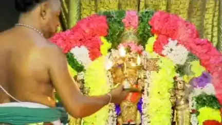திண்டிவனம்: மயிலம் மலைமேல் அமைந்த வள்ளி தெய்வானை சமேத சுப்பிரமணிய சுவாமி கோவிலில் ஆனி மாத கிருத்திகையை முன்னிட்டு ஊஞ்சல் உற்சவம் நடைபெற்றது