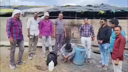 गंगाखेड: पिंपरी झोला शिवारात गावठी हातभट्टी दारूचा अड्डा नष्ट, स्थानिक गुन्हे शाखेची कारवाई
