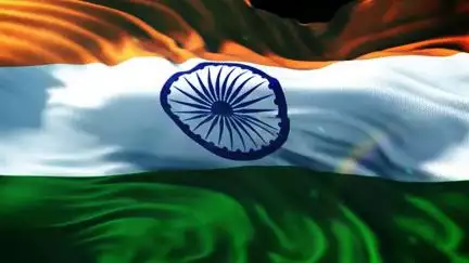 कैसे बढ़ती जा रही है भारतीय अर्थव्यवस्था में पतंजलि की भूमिका?