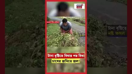 Chandrakona য় টানা বৃষ্টিতে বিঘার পর বিঘা চাষের জমিতে জল! | N18S #shorts