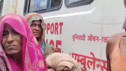 रीगा: रीगा में पागल कुत्ते का आतंक, 25 लोगों को काटा, इलाके में दहशत