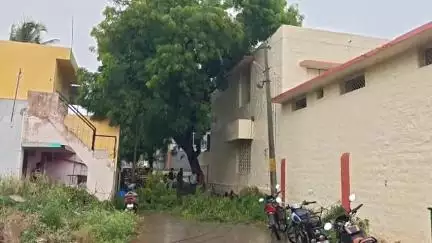 రాయదుర్గం: పట్టణంలోని రాధాకృష్ణ పాఠశాల వద్ద చెట్టుకొమ్మ వైర్ల మీద పడటంతో విరిగిపడిన విద్యుత్ స్తంభం, తప్పిన పెద్ద ప్రమాదం