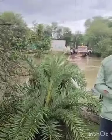 रन्नौद: धंधेरा-अकाझिरी मार्ग पर उफनती पुलिया पर चढ़ाया ट्रक, ग्रामीणों की मिन्नतें भी नहीं मानीं, वीडियो वायरल
