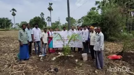 మానకొండూరు: ఊటూరు గ్రామంలో ఆయిల్ ఫామ్ మెగా ప్లాంటేషన్ డ్రైవ్..
