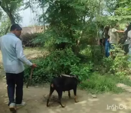 सिरौली गौसपुर: सराय दुनौली गांव में अज्ञात चोरों ने एक घर को बनाया निशाना, पुलिस से की गई शिकायत, टिकैतनगर पुलिस जांच में जुटी
