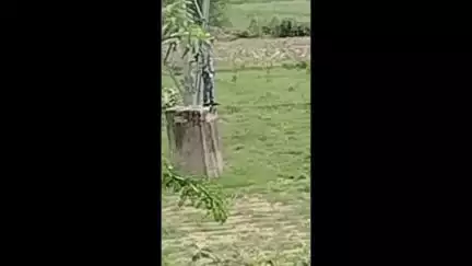 फतेहाबाद: फतेहाबाद के शंकरपुर घाट पर 22 घंटे तक चला हाई वोल्टेज ड्रामा, युवक को सोमवार को टावर से नीचे उतारकर पुलिस ने जेल भेजा