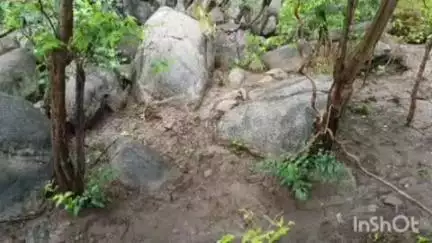 मदनपुर: पचरुखिया के गोबरदाहा से सुरक्षा बलों ने दो प्रेशर आईईडी बरामद किए, मौके पर किया डिफ्यूज