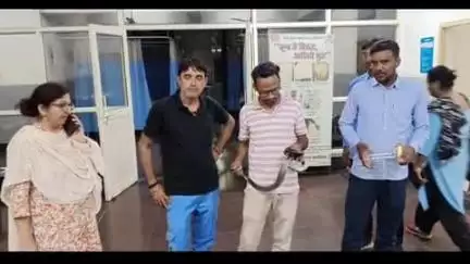 कैथल: कलायत के अस्पताल में घुसा जहरीला सांप, कर्मचारियों में मचा हड़कंप