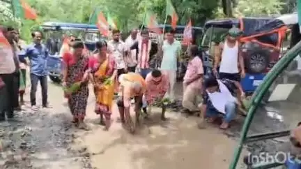 বাগদা: পাঁচপোতাতে রাস্তায় ধান রোপন করে পথঅবরোধ করে বিক্ষোভ বিজেপির #jansamasya