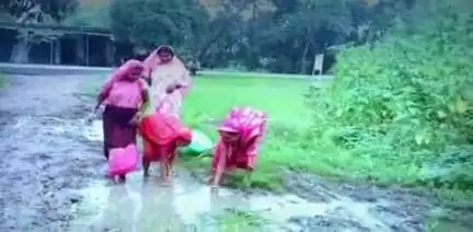 चास: चास नगर निगम के वार्ड 35 में सड़क पर लोगों ने रोपा धान