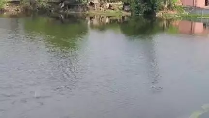 नाथनगर: किशनपुर के तालाब में बकरी को बचाने में दो बच्चियों की डूबने से हुई मौत