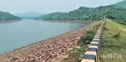 रानीश्वर: रानीश्वर के कैराबनी डैम पर बिछे बोल्डर पर सुखाया जा रहा है केंदू पत्ता