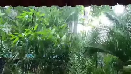 राधानगरी: राधानगरी धरण क्षेत्रात मुसळधार पाऊस पाने साठ्यात लक्षणीय वाढ, 61.35% भरलं धरण.