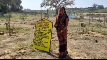 सिमरिया: तेतरिया गांव में असामाजिक तत्वों ने आम बागवानी को क्षति पहुंचाई, शिकायत के बाद जांच करने पहुंचे अधिकारी