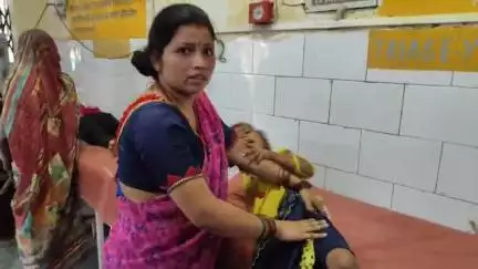 खलीलाबाद: संयुक्त जिला चिकित्सालय में आवारा कुत्तों का आतंक