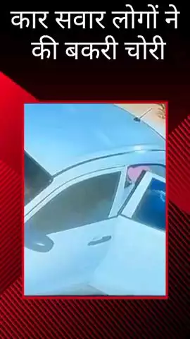 मोहनलालगंज: मोहनलालगंज में कार सवार लोगों ने बकरी चोरी की वारदात को दिया अंजाम, सीसीटीवी वीडियो आया सामने