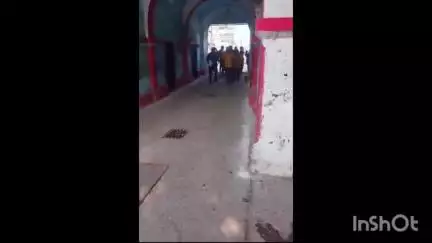देवबंद: देवबंद कोतवाली पहुंचे मोहल्ला शशि नगर के लोग, बाप-बेटे पर 3 पालतू कुत्तों की हत्या का आरोप लगाया