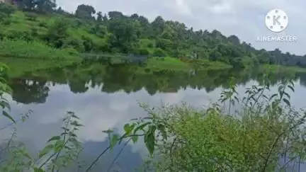 आष्टी: मौज किनी आबाद खोरी नदीकाठी आष्टी पोलिसांची दोन ठिकाणी धाड; 38 हजार रुपयांचे मोहा दारू रसायन जप्त