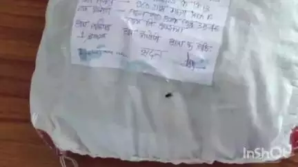 बिछिया: बिछिया पुलिस ने अवैध गांजा किया जब्त, एक गिरफ्तार