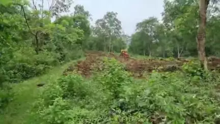पत्थलगांव: महेशपुर में वन विभाग की जमीन पर फिर से अवैध कब्जे की कोशिश, ग्रामीणों ने ट्रैक्टर पकड़कर विभाग को सौंपा