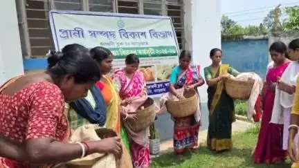 জামবনি: পশ্চিমবঙ্গ সরকারের প্রানী সম্পদ বিকাশ বিভাগের সহায়তায় জামবনি ব্লকের উপভোক্তাদের মুরগি বাচ্চা বিতরণ করা হয়