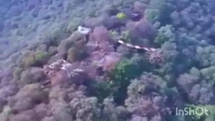 कर्वी: बाल्मिकी आश्रम में पर्यटन संबंधी कार्यों के लिए जिलाधिकारी की अगुवाई में कलेक्ट्रेट परिसर में हुई विशेष बैठक