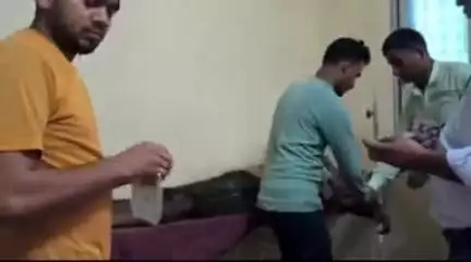नौगढ़: बटौवा में युवक को जहरीले सर्प ने काटा, तड़पते युवक को लेकर परिजन पहुंचे अस्पताल