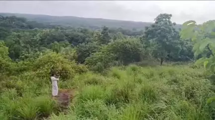 കൊട്ടാരക്കര: ആയിരവല്ലിപ്പാറയിൽ പാറഖനന നീക്കത്തിനെതിരെ പ്രതിഷേധം, കൊടിക്കുന്നിൽ സുരേഷ് എം.പി സ്ഥലം സന്ദർശിച്ചു