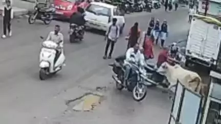 कळवण: कळवण जुना ओतूर रस्त्यावर मोकाट जनावरांनी ज्येष्ठ नागरिकावर केला हल्ला ज्येष्ठ नागरिकाचा मृत्यू कळवण पोलिसात गुन्हा
