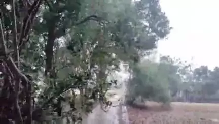 लालगंज: गोपालपुर विधानसभा क्षेत्र में मौसम ने लिया करवट, झमाझम बारिश से गर्मी से मिली राहत, किसानों के चेहरे खिले