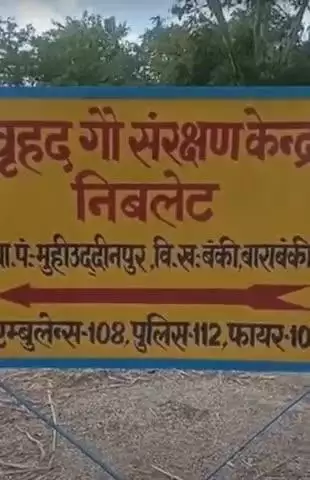 नवाबगंज: बंकी की निबलेट गौशाला आत्मनिर्भरता की मिसाल बनी, गोबर से तैयार खाद बेचकर आय में इजाफा