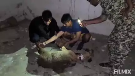 मुरैना: बिचोली गांव के पास कुत्तों ने नीलगाय पर किया हमला, बुरी तरह घायल, वन विभाग को किया सुपुर्द