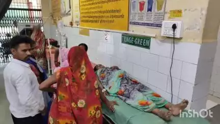 खलीलाबाद: ग्राम एकमा में एक महिला को सांप ने काटा, जिला अस्पताल में इलाज जारी