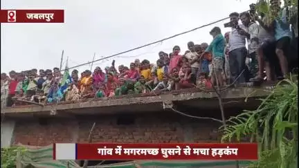 जबलपुर: गांव में मगरमच्छ घुसने से हड़कंप, वन विभाग की टीम ने किया सुरक्षित रेस्क्यू